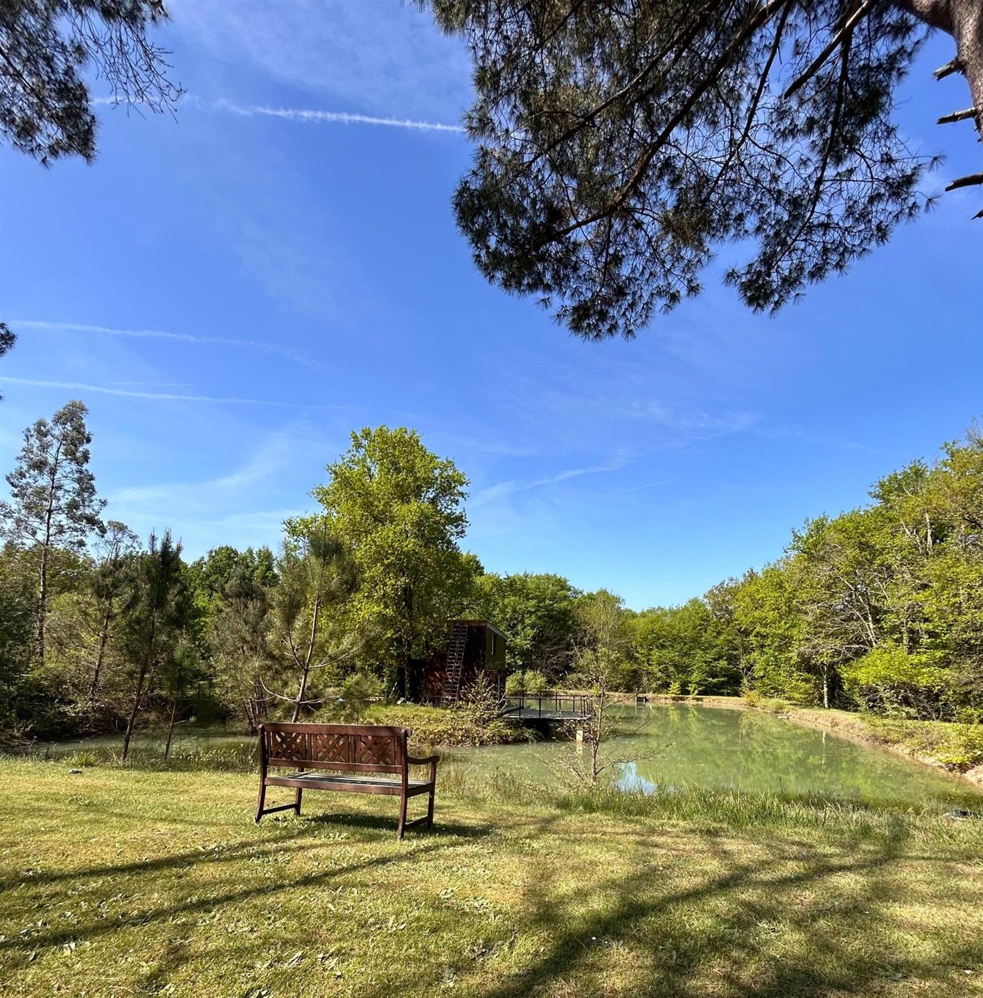 Purchase: Luxury property (33220)