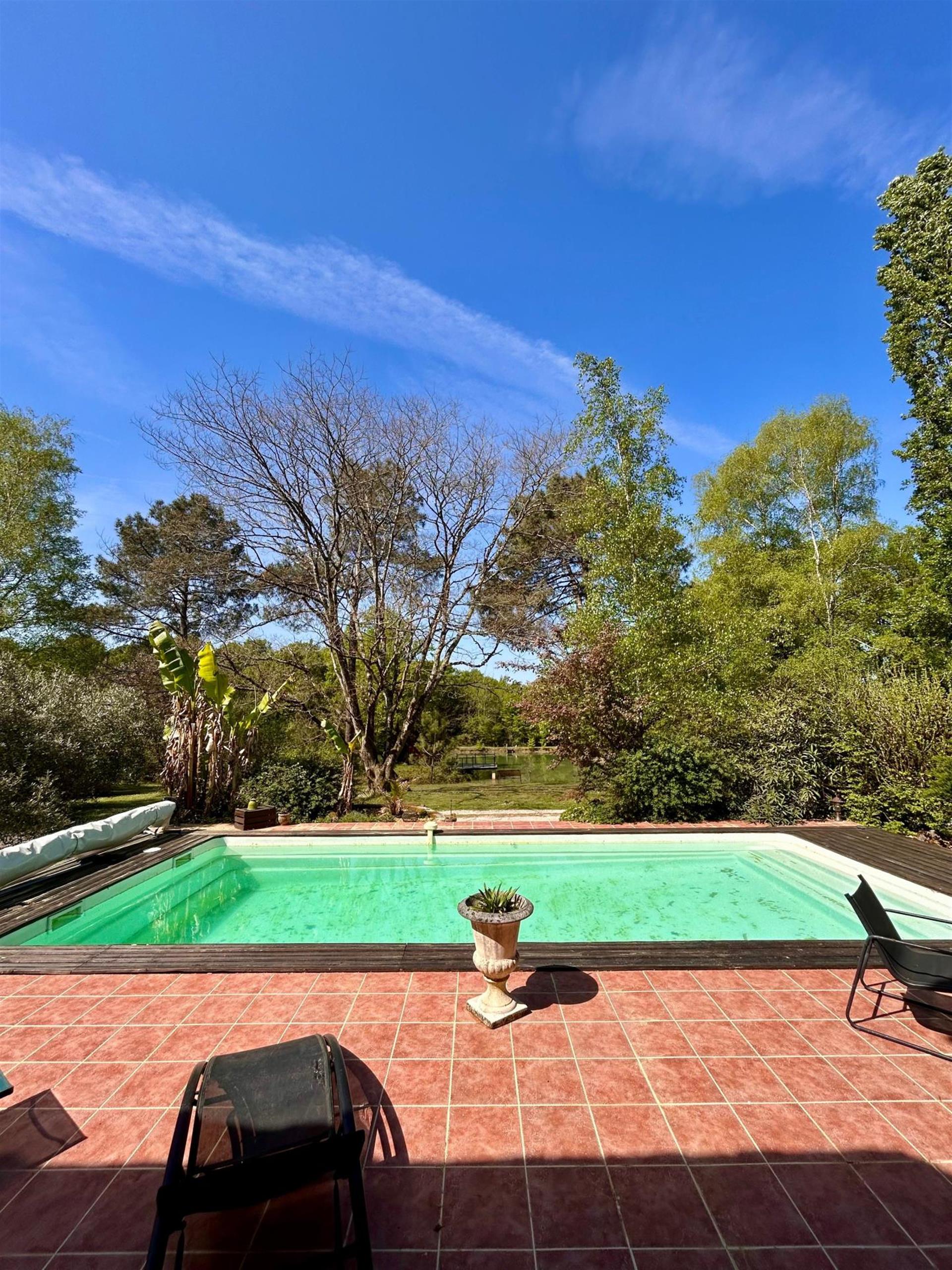 Purchase: Luxury property (33220)