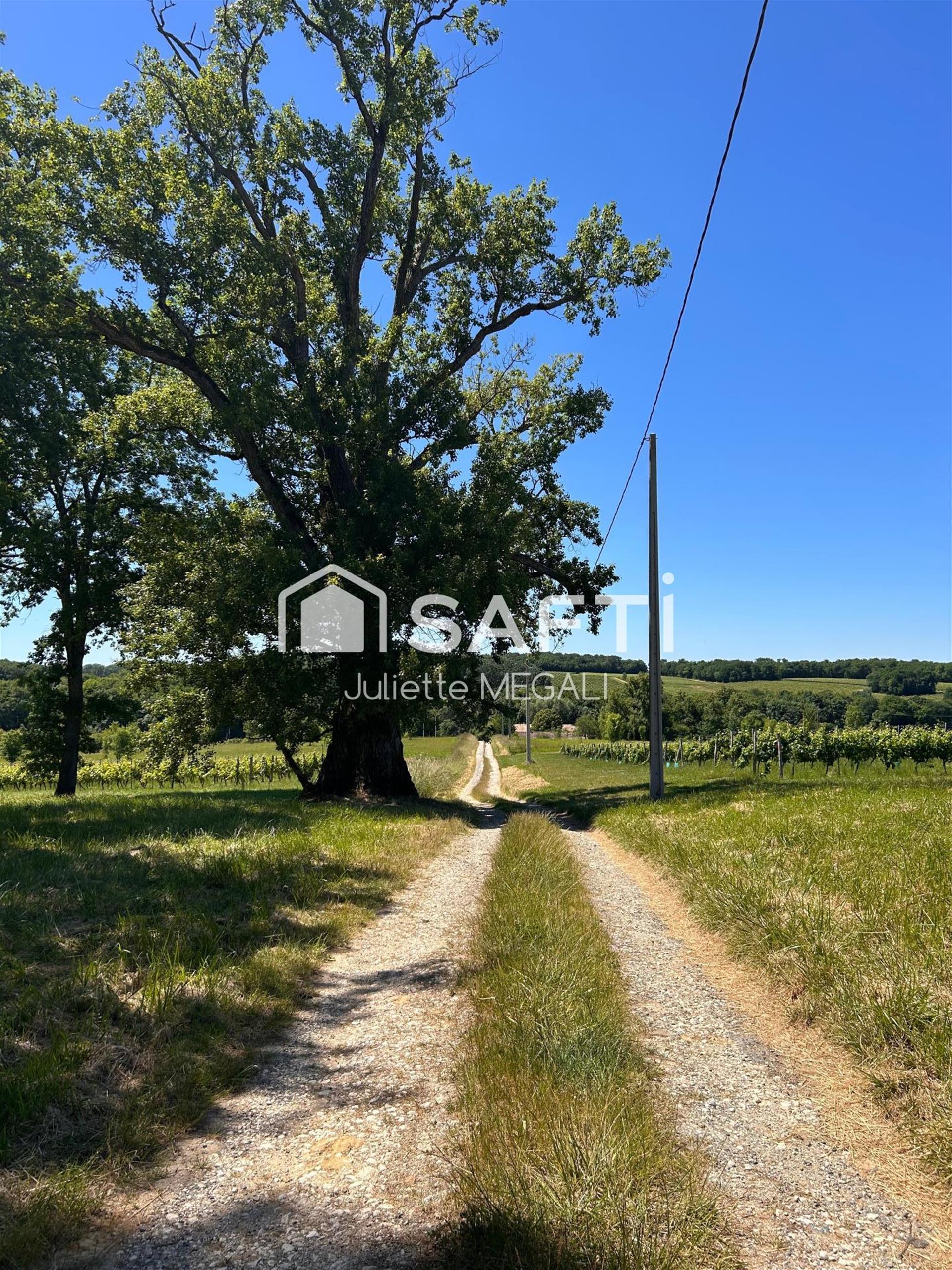 Purchase: Luxury property (33890)