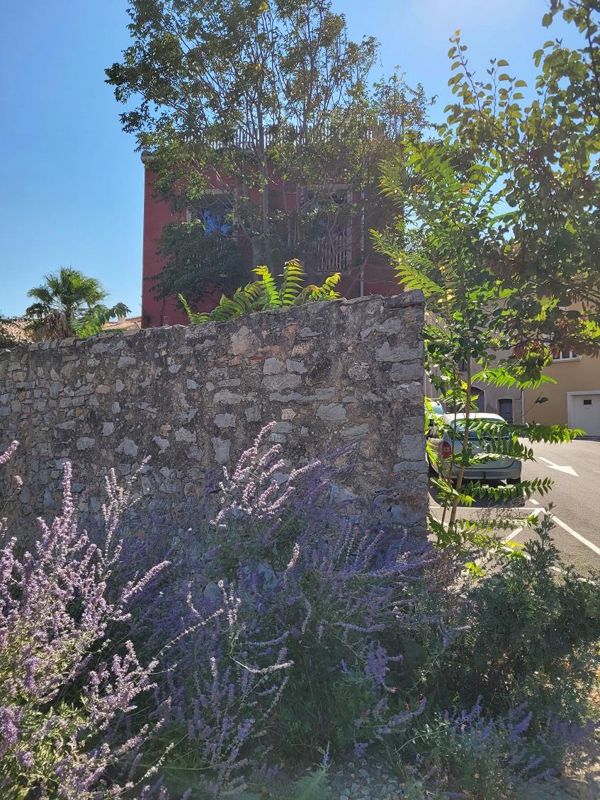 Renovated Former Winegrower's House, Offering Many Possibilities With Its 235 M2 Of Living Space, Ga
