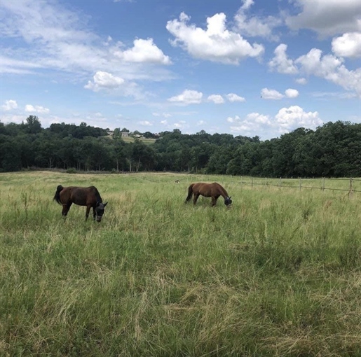 Propriété equestre en parfait état manège carrière ecurie