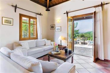 Villa van 100 m² met privé zwembad op het platteland van Skopelos-stad