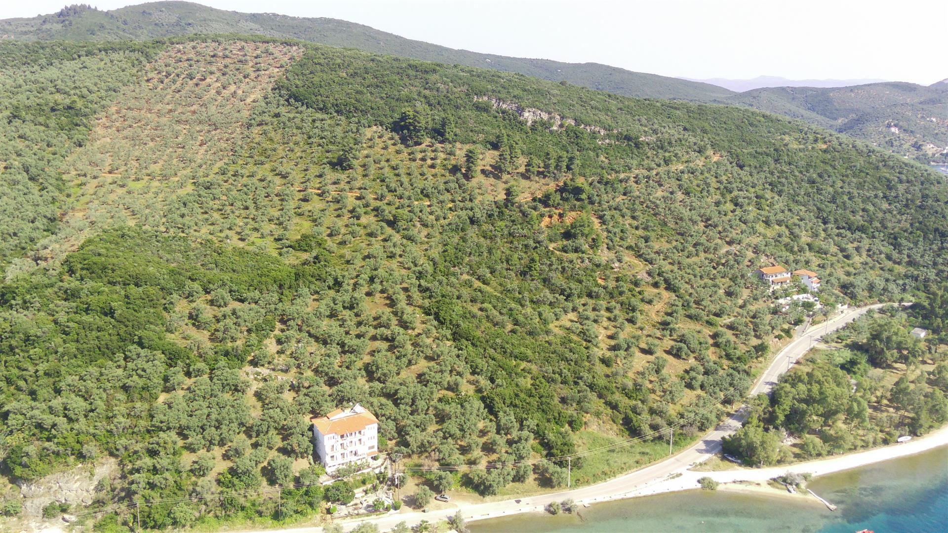 Buildable plot 5291 sqm in Milina