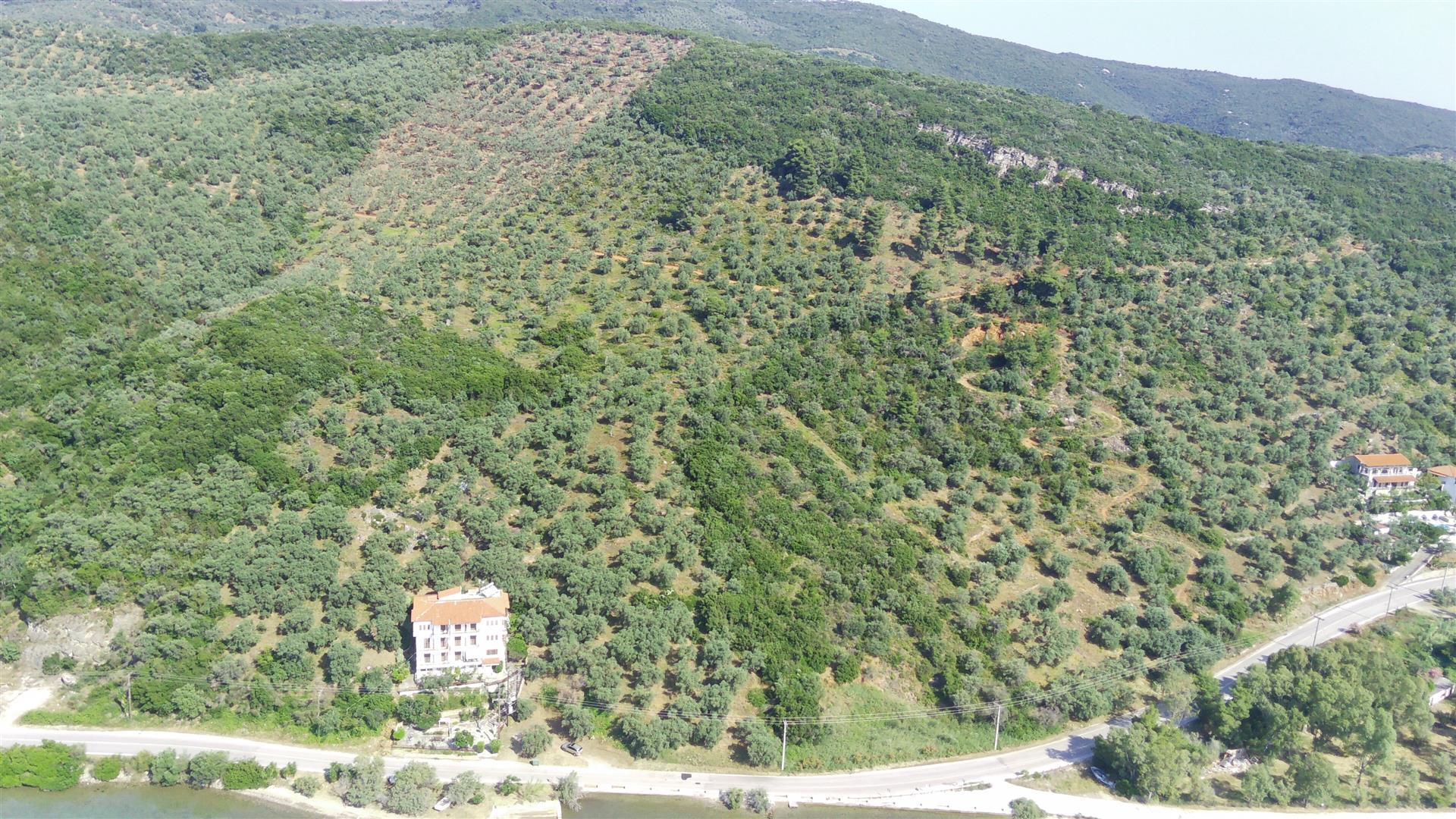Buildable plot 5291 sqm in Milina