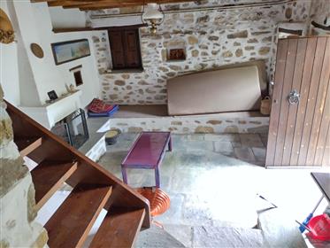Two detached houses in Milies Pelion