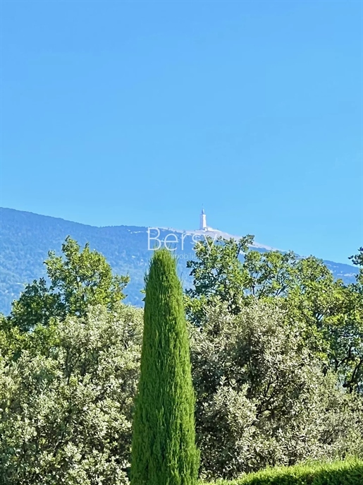 Lovers Of Ventoux, Nature and the Village Of Bedoin