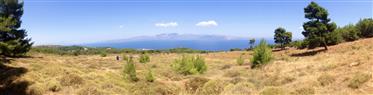 Zemljište za prodaju u Kalamosu, sjeveroistočna Attica, Grčka