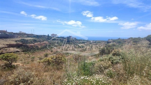 Parcela rústica en San Miguel de Abona, Tenerife