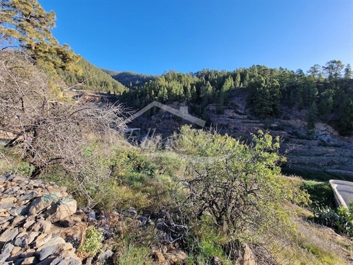 Urban plot in Vilaflor, Tenerife