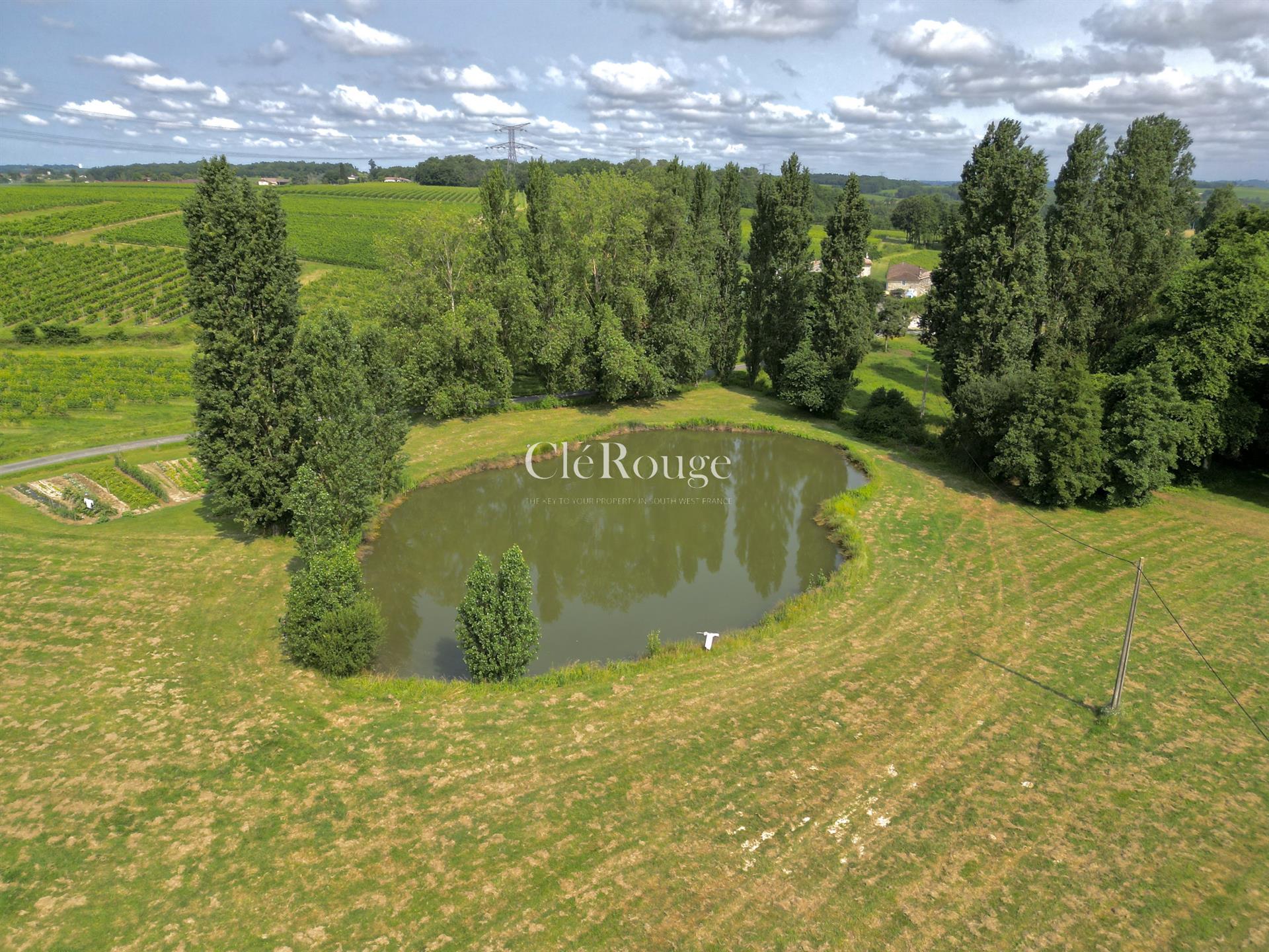 Charming property complex in the Gironde countryside, with swimming pool, 6 hectares of land with po