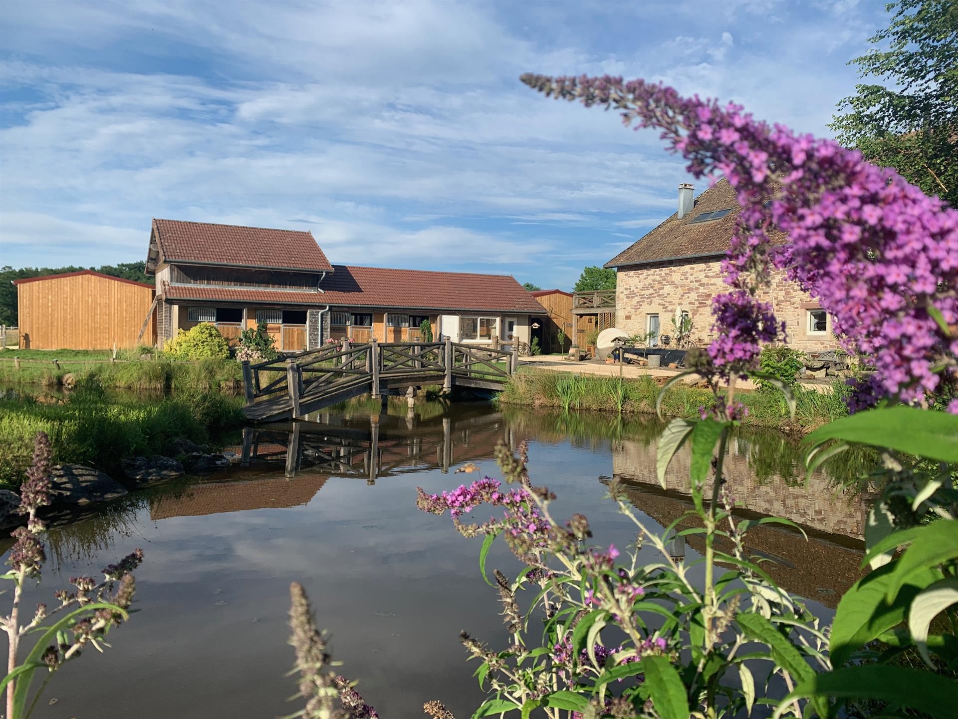 Equestrian property, 