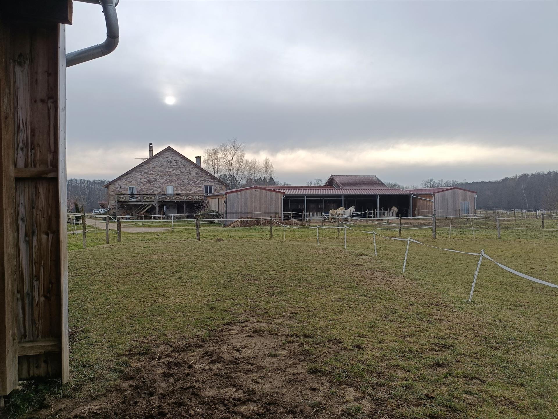 Equestrian property, 