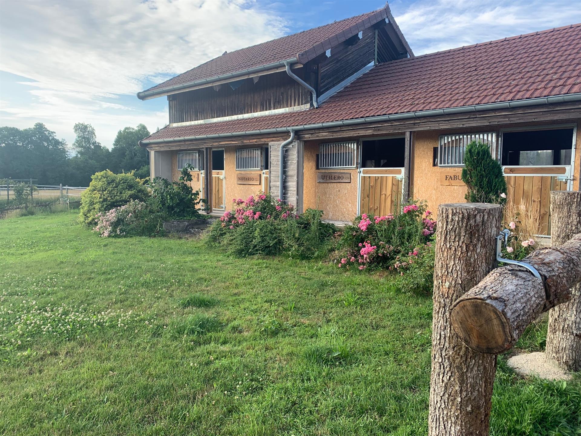 Equestrian property, 