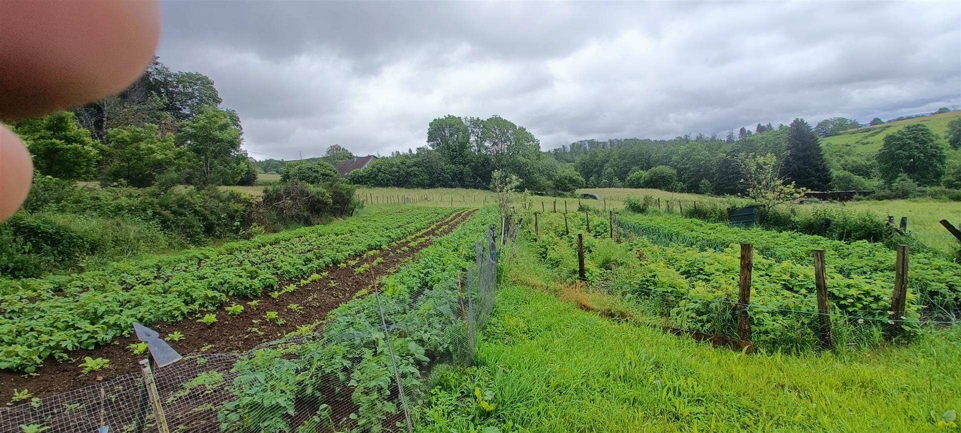 Rustieke boerderij