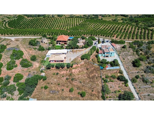Discover the Charm of This Idyllic Countryside Villa in Algoz