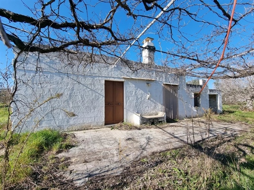 Casa de campo a ser restaurada com terreno apropriado