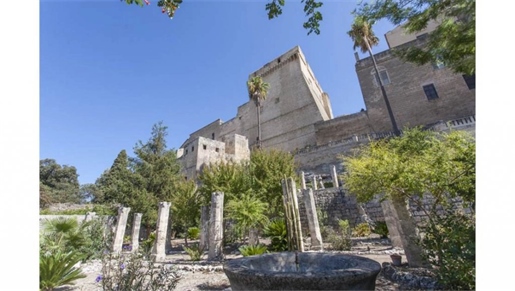 Bâtisse du 17ème siècle à restaurer avec jardin