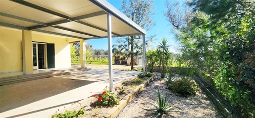 Városi közelségben lévő kis ház