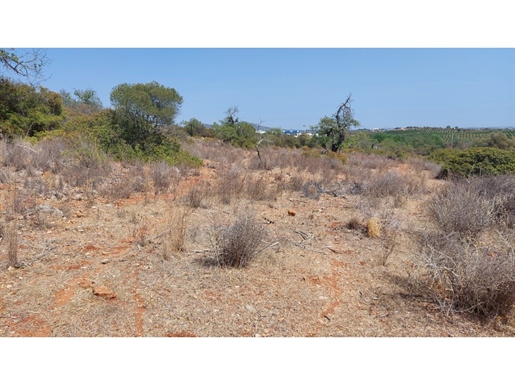 Buildable land with sea view in Vale Formoso