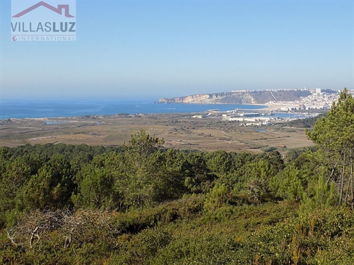 Terreno vista mar Nazaré com viabilidade para hotel, projeto turístico ou diversas moradias