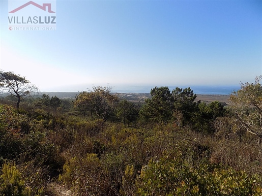 Sea views land Nazare with viability for hotel, tourist project or several villas