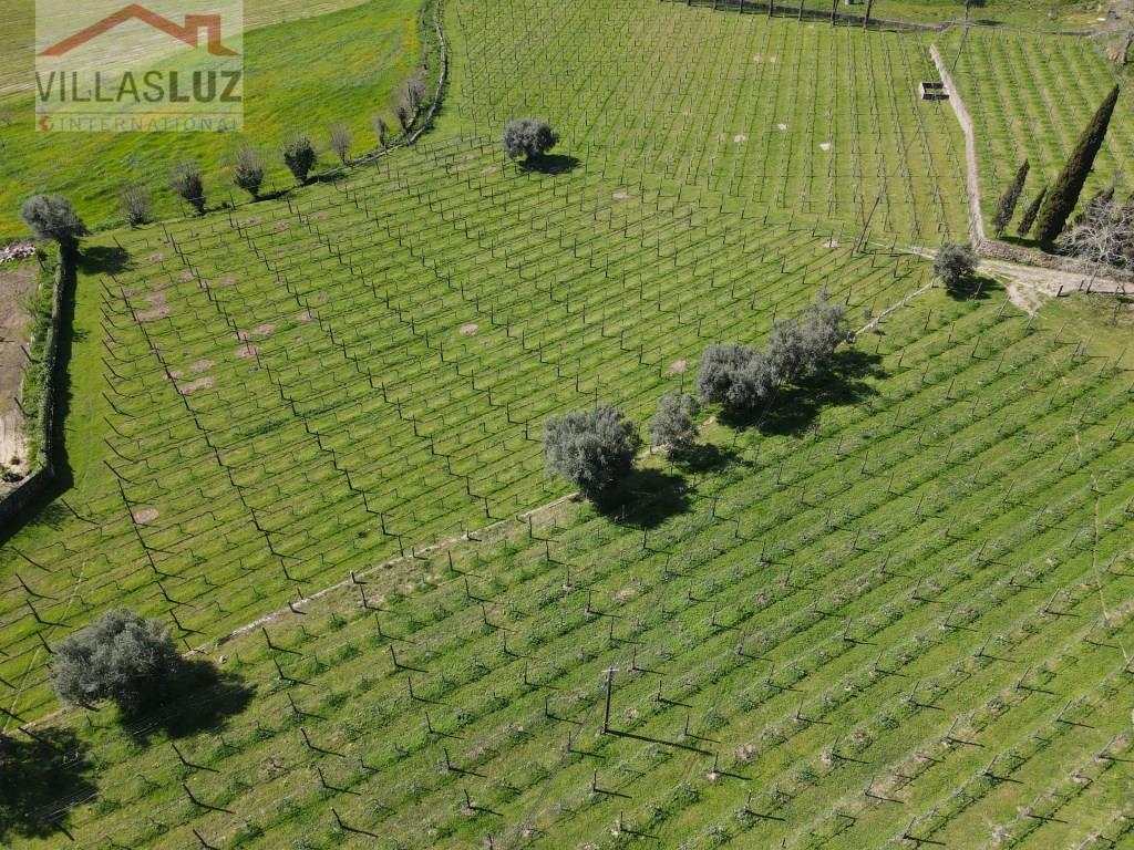 Herrenhaus mit 14 Schlafzimmern in Nordportugal mit 2 ha Weinberg