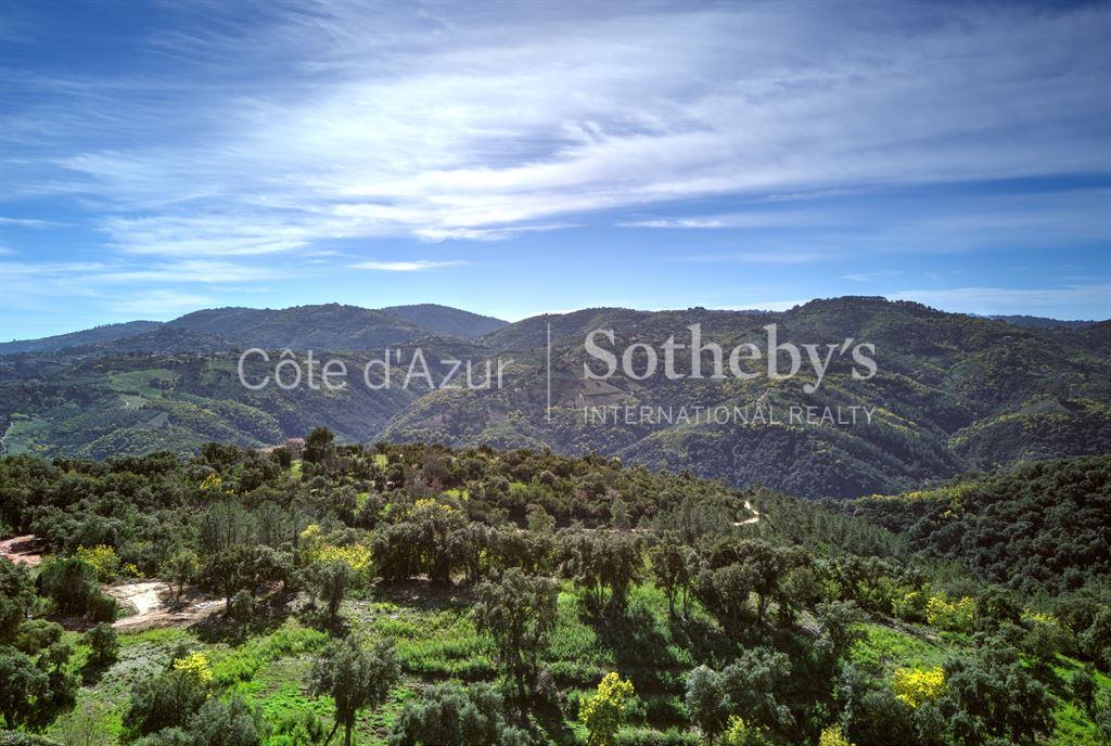 Peymeinade - Provencal villa in a private estate with panoramic views