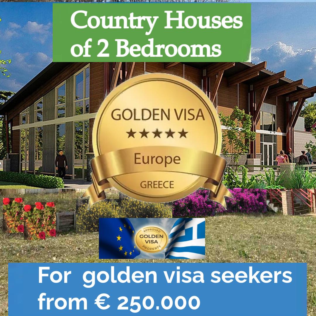 Advert picture