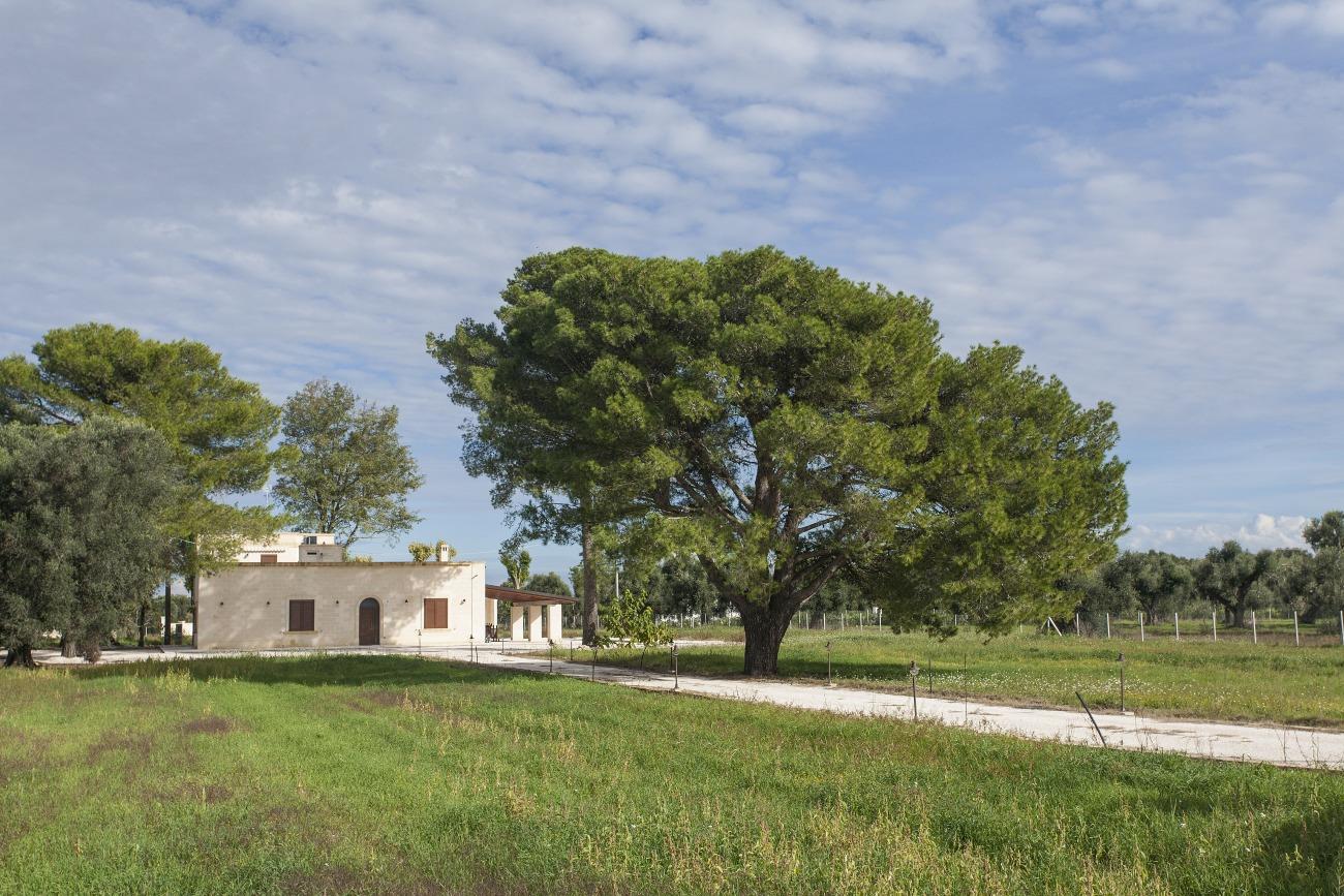 Villa de luxe au meilleur prix !