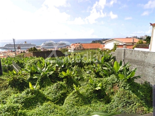 Terrain 3329m2, Funchal - Madère