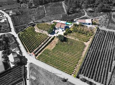 Farm in Douro Valley - Portugal