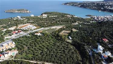 Large plot within walking distance to the beach in Almyrida