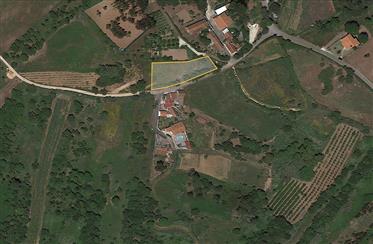 Land with Project for 2 Houses with Swimming Pool - Relvas
