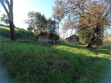 Land with approved project for 3 bedroom villa with swimming pool - Acipreste