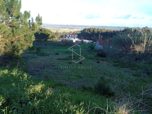 Terrain avec faisabilité de construction pour 4 villas à Salir do Porto