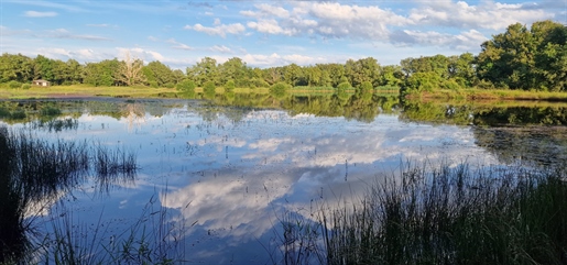 Beautiful pond in the heart of the Brenne