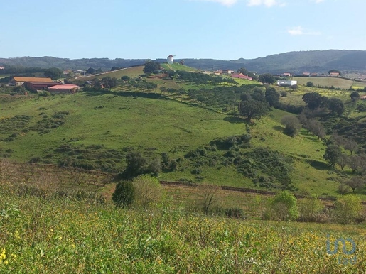 Tierra en el Lisboa, Cadaval