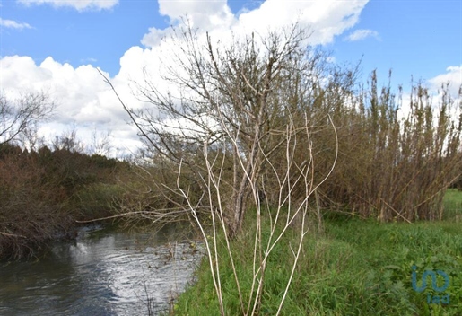 Advert picture