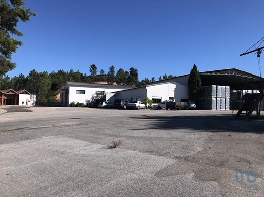 Miscellaneous trade in Seiça with 3282,00 m²