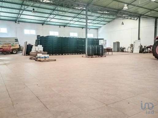 Warehouse in Santarém with 1200,00 m²