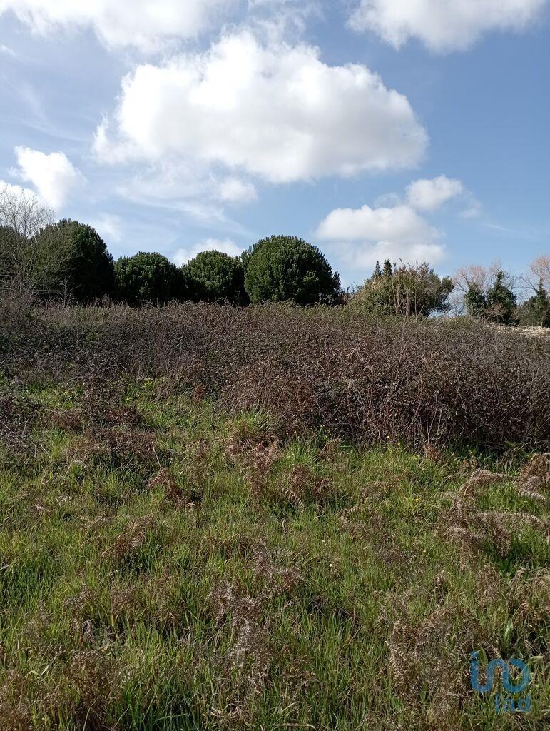 Terrenos de construcción en el Leiria, Batalha