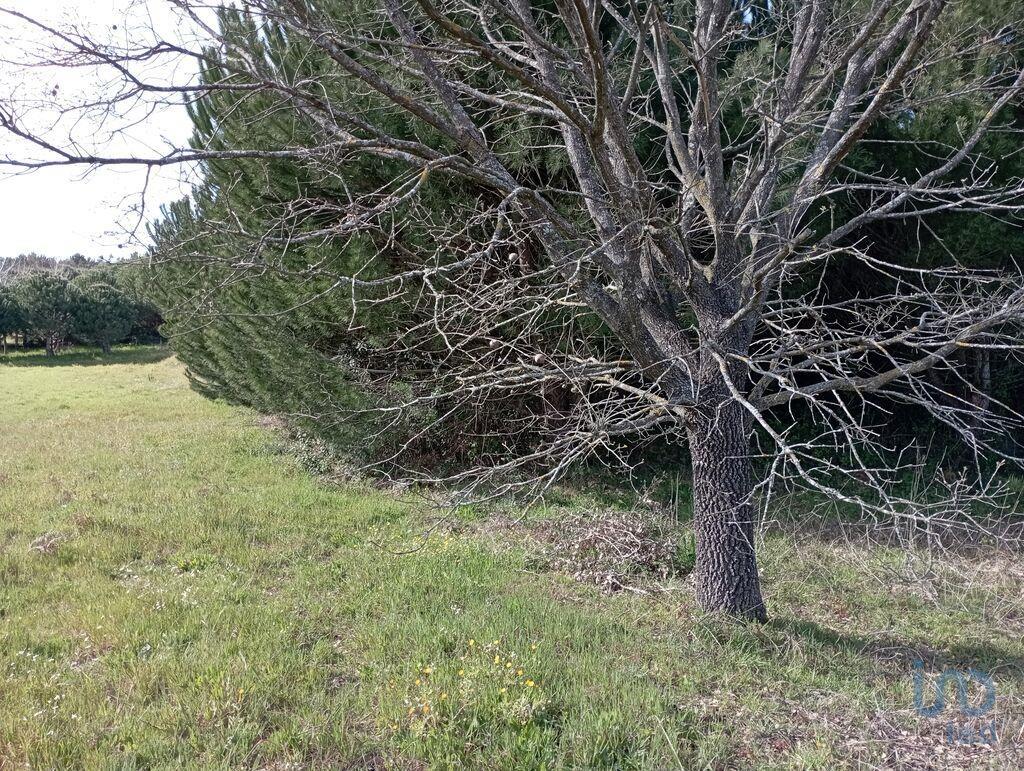 Terrenos de construcción en el Leiria, Batalha