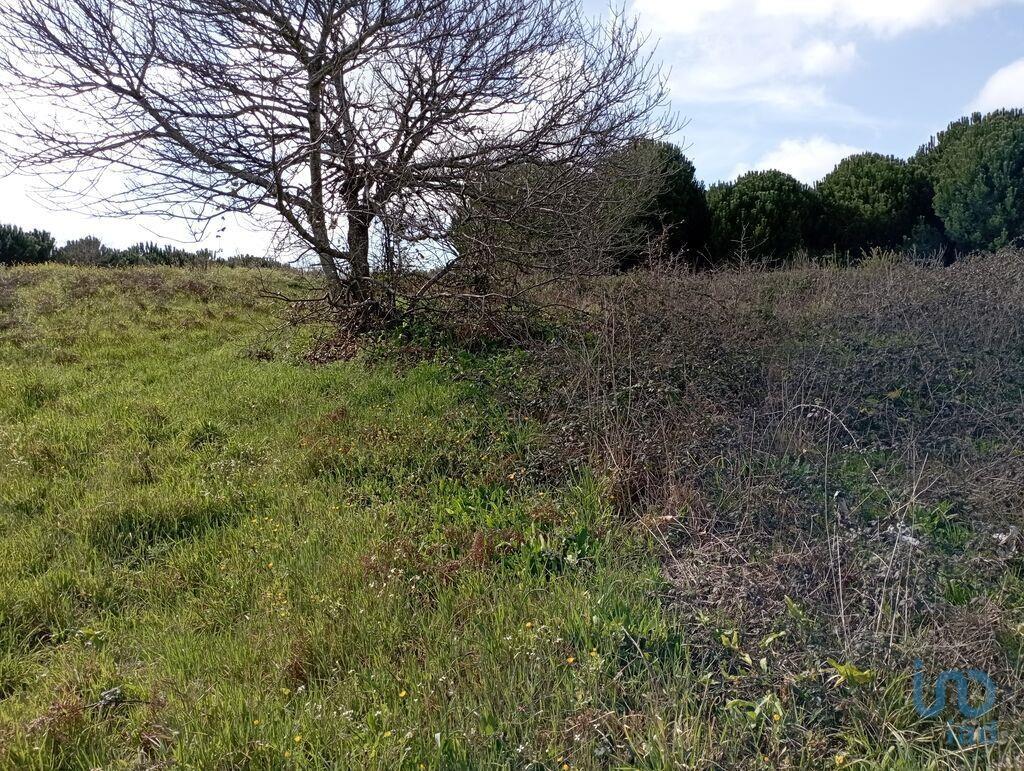 Terrenos de construcción en el Leiria, Batalha