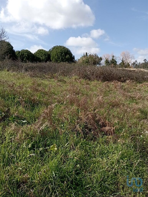 Construction land in Batalha with 1430,00 m²