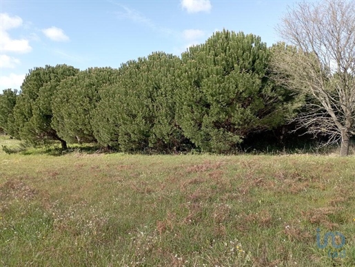 Ground in Leiria with 10712,00 m²