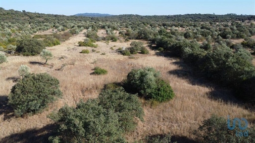 Terrain à Areias e Pias de 7880,00 m²