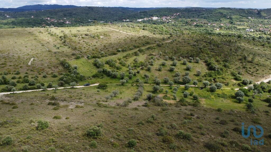Grond in Chãos met 10480,00 m²