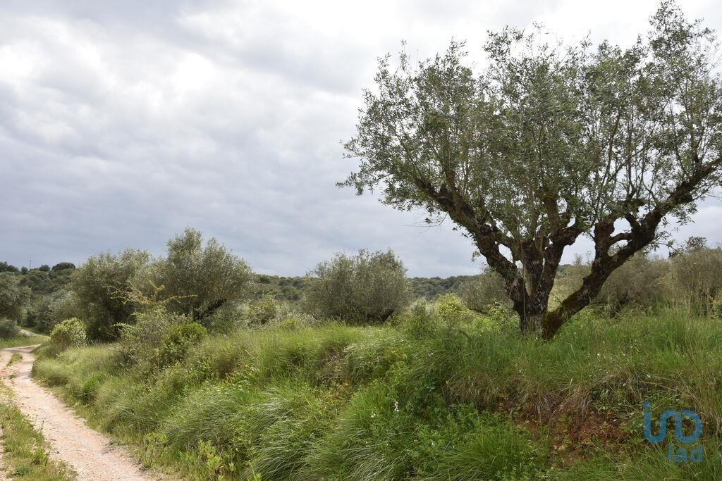 Grond in Chãos met 10480,00 m²