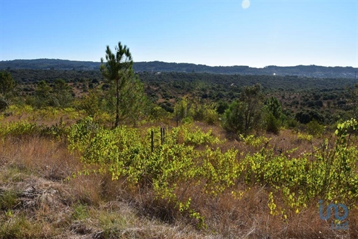 Terrain à Areias e Pias de 17000,00 m²