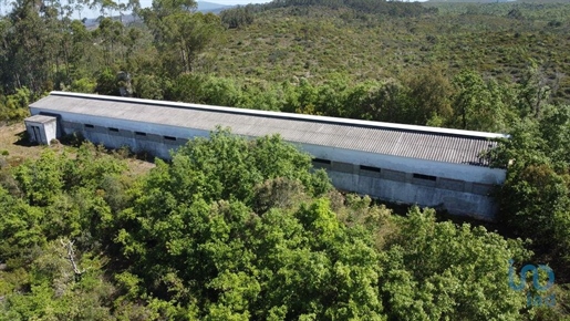 Advert picture
